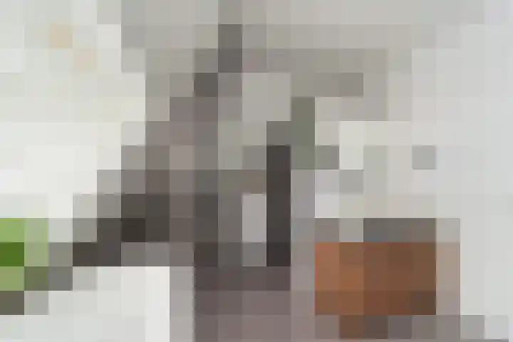 Heulweg 43 Kwintsheul thumbnail 46