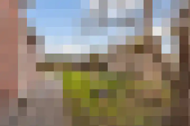 Heulweg 43 Kwintsheul thumbnail 54