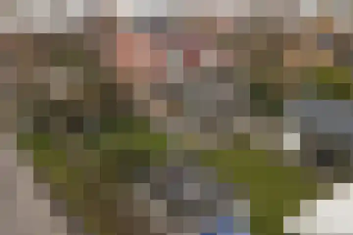 Heulweg 43 Kwintsheul thumbnail 55