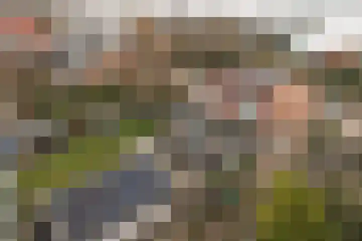 Heulweg 43 Kwintsheul thumbnail 56
