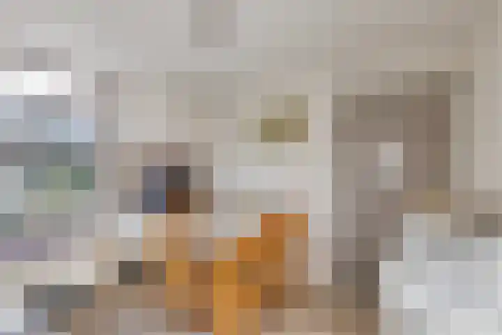 Heumensebaan 3 Molenhoek thumbnail 10