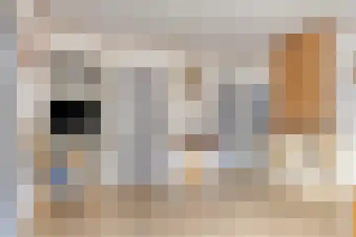 Heumensebaan 3 Molenhoek thumbnail 14