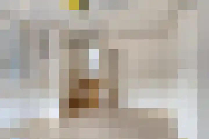 Heumensebaan 3 Molenhoek thumbnail 21