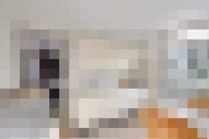 Heumensebaan 3 Molenhoek thumbnail 9