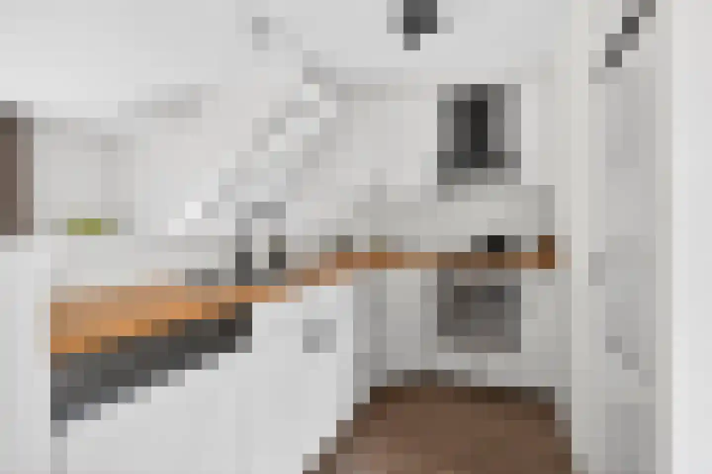 Heumensebaan 43 Molenhoek thumbnail 4