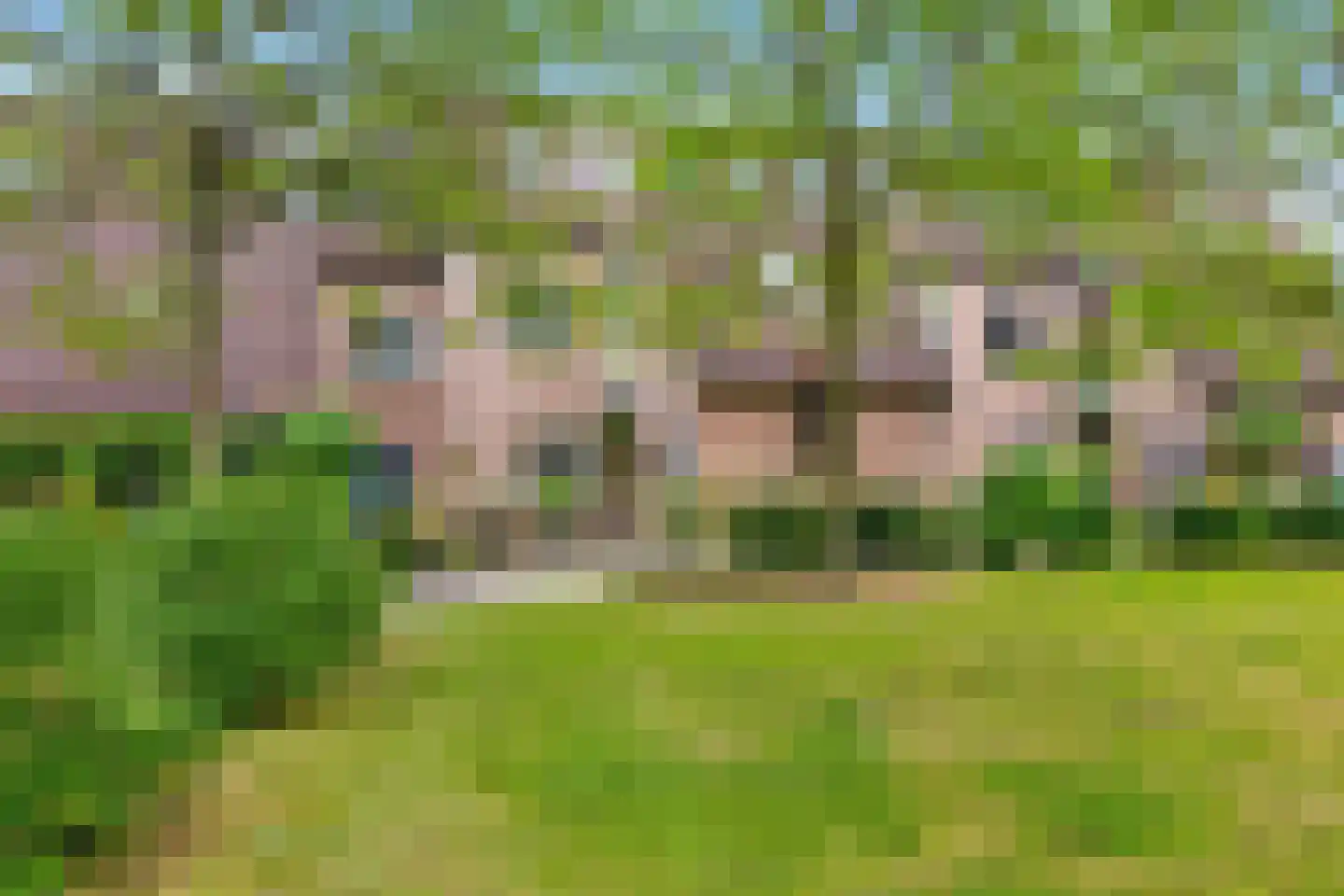 Heumensebaan 43 Molenhoek thumbnail 5