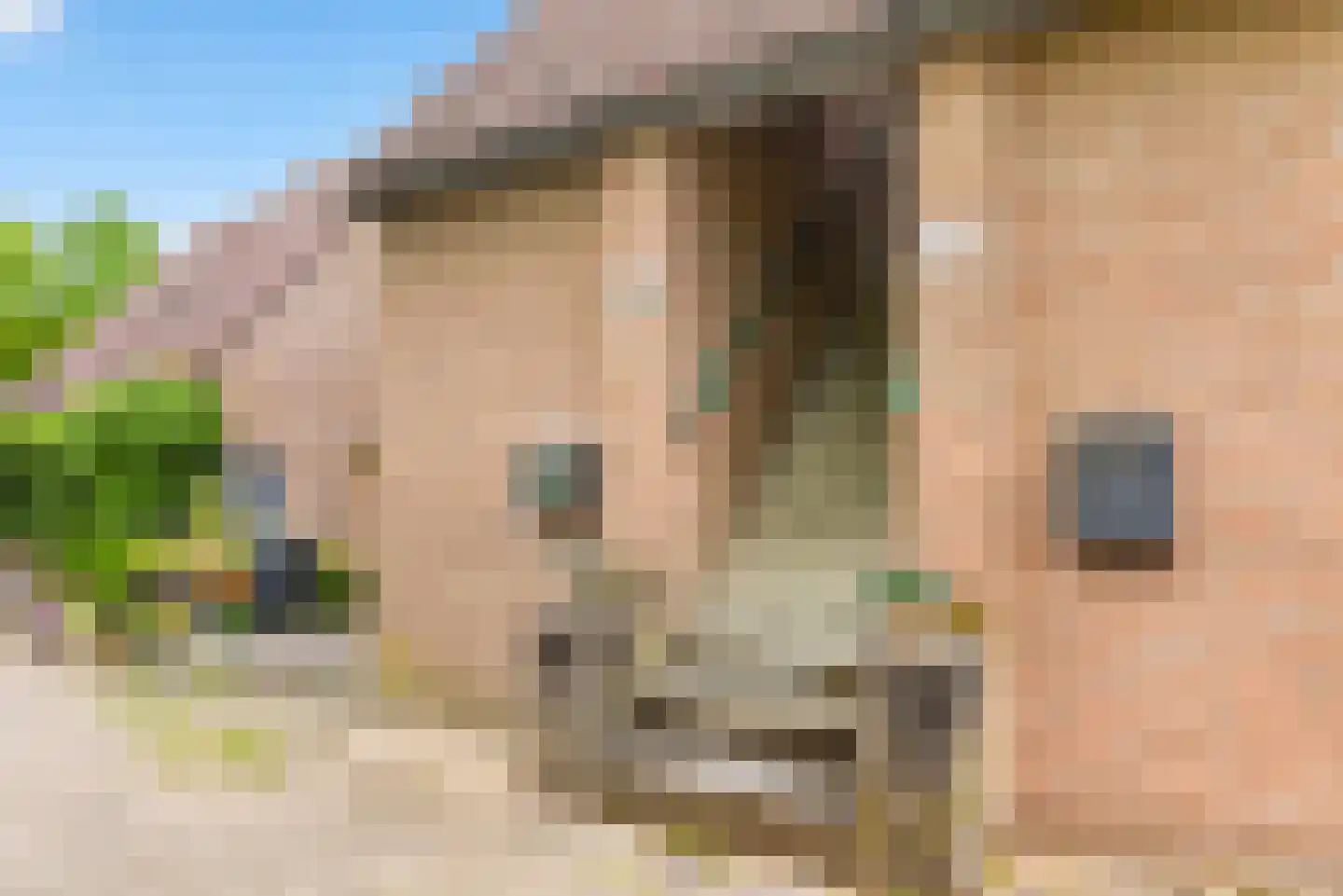 Heumensebaan 43 Molenhoek thumbnail 6