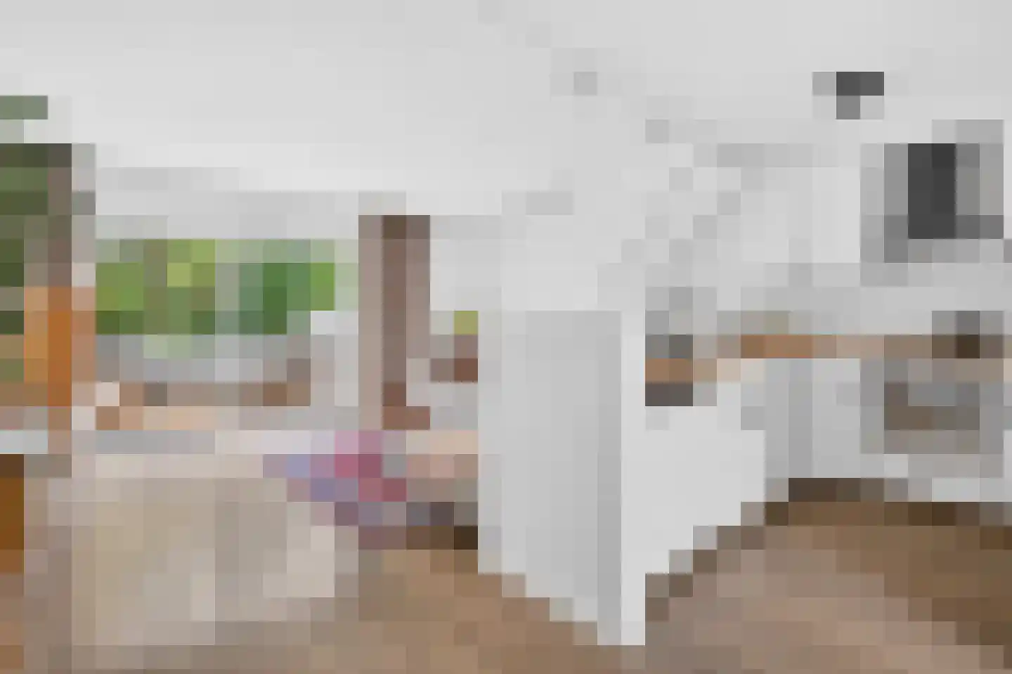 Heumensebaan 43 Molenhoek thumbnail 8