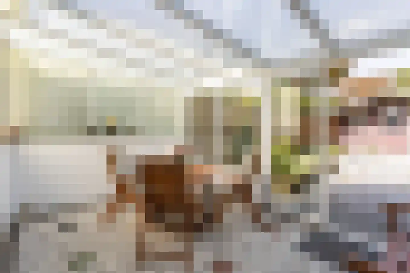 Heumensebaan 8 a Groesbeek thumbnail 15
