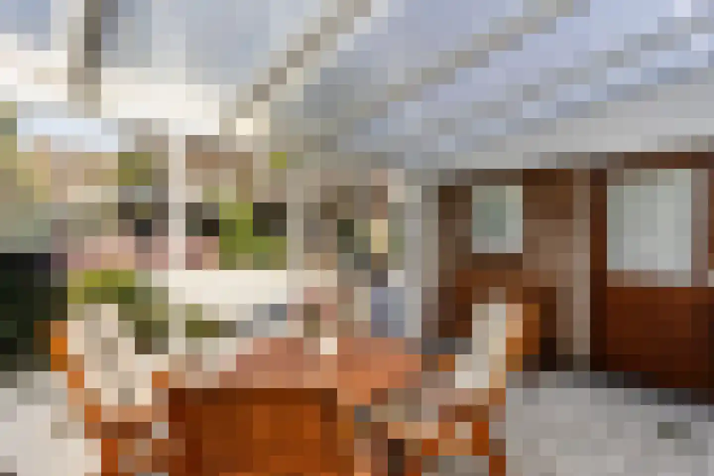 Heumensebaan 8 a Groesbeek thumbnail 17