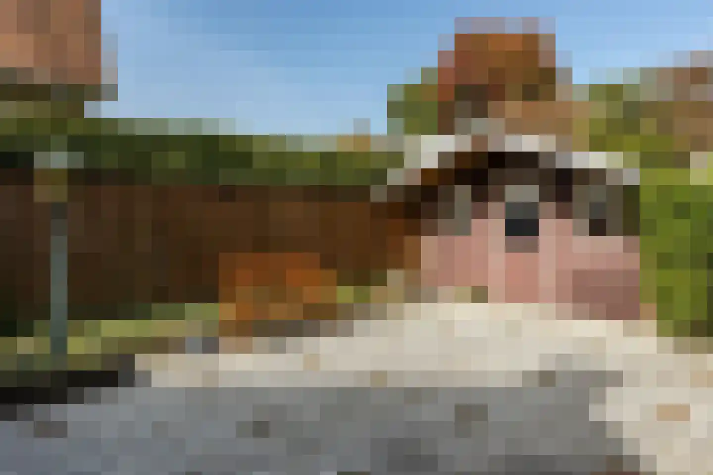 Heumensebaan 8 a Groesbeek thumbnail 37