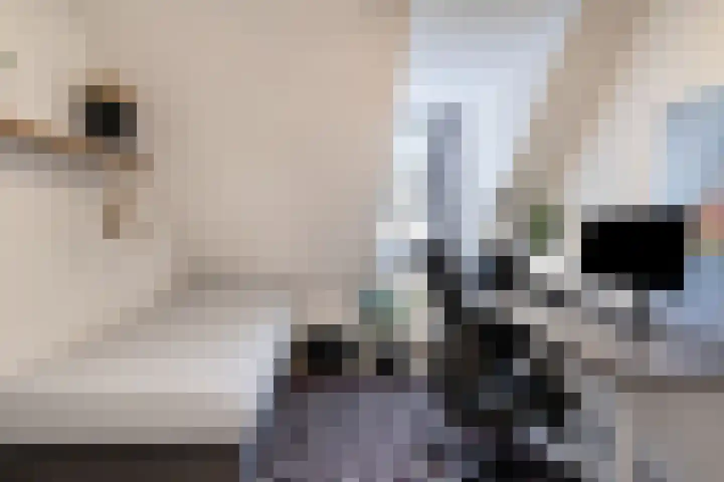Heuneind 32 Berkel-Enschot thumbnail 31