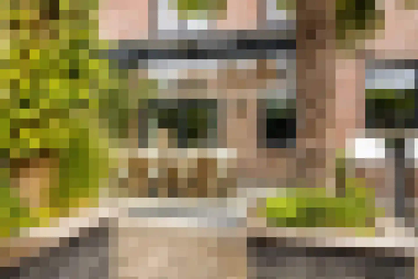 Heuneind 32 Berkel-Enschot thumbnail 37