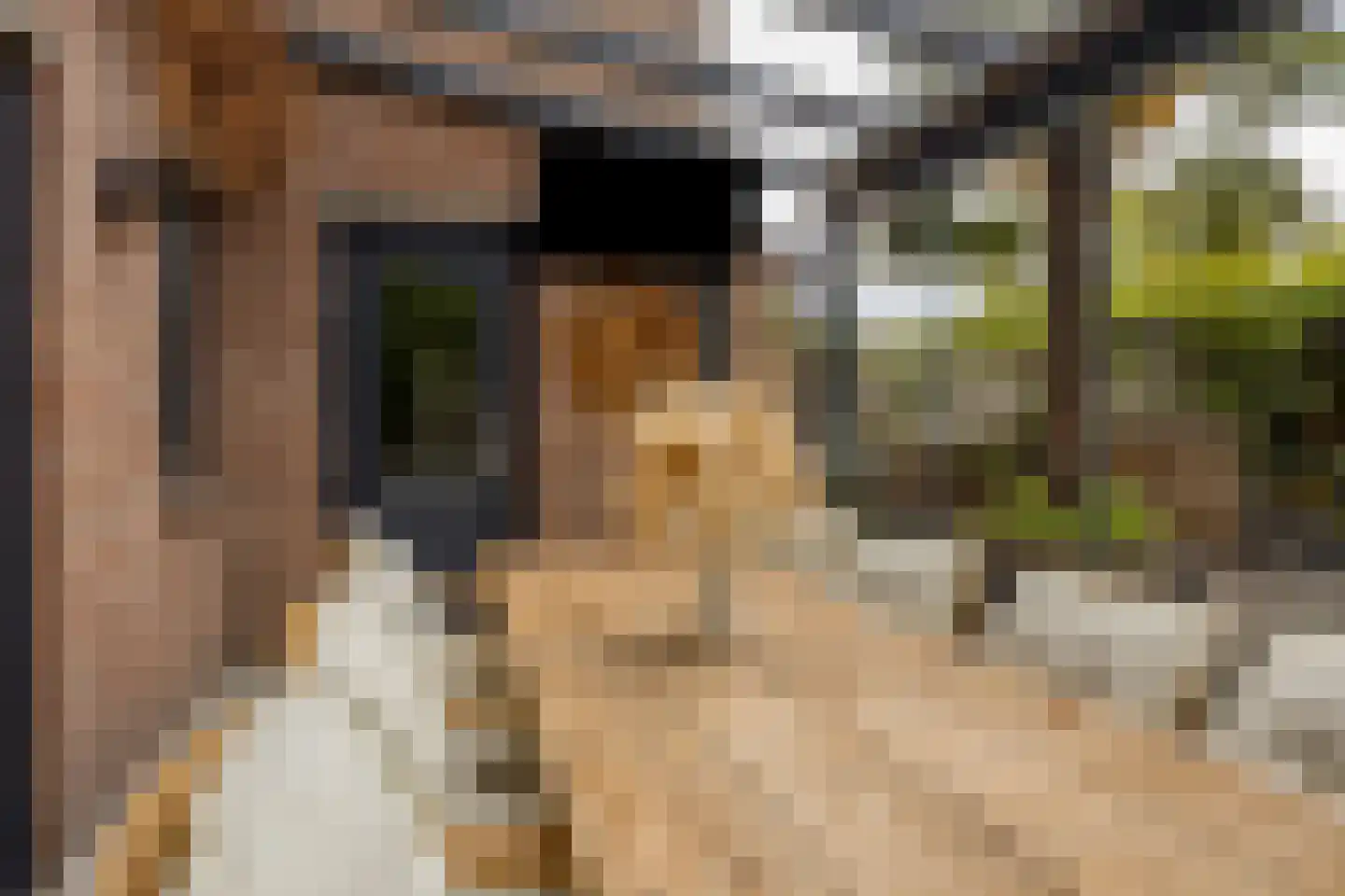 Heuneind 32 Berkel-Enschot thumbnail 39