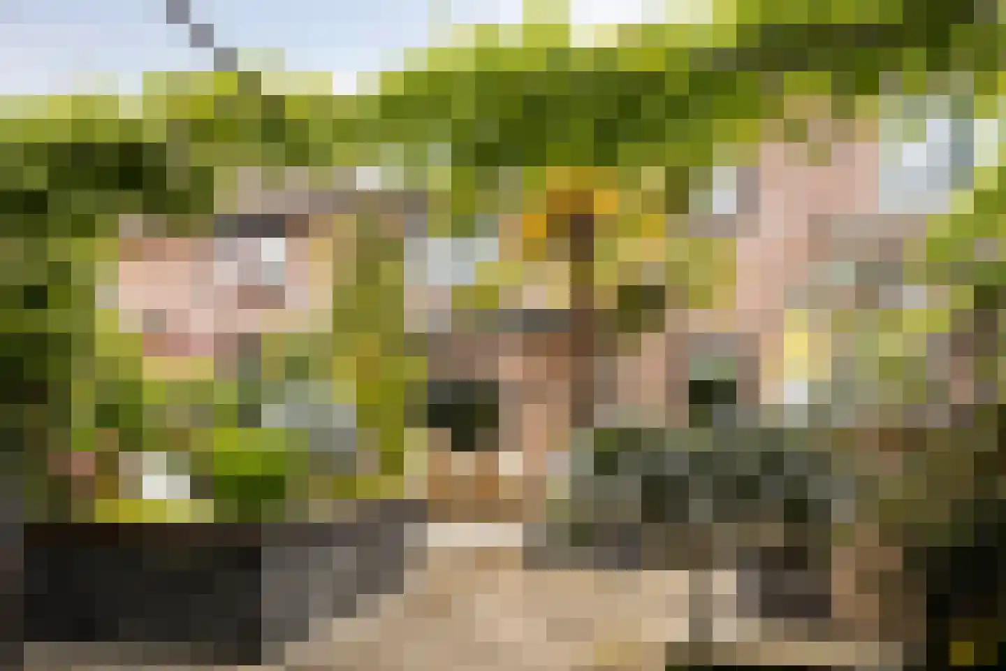 Heuneind 32 Berkel-Enschot thumbnail 40