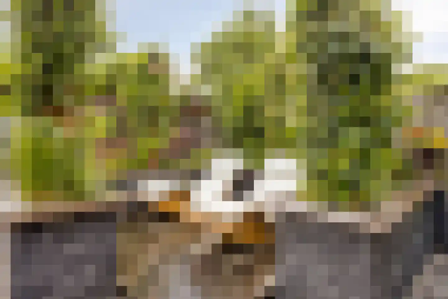 Heuneind 32 Berkel-Enschot thumbnail 44
