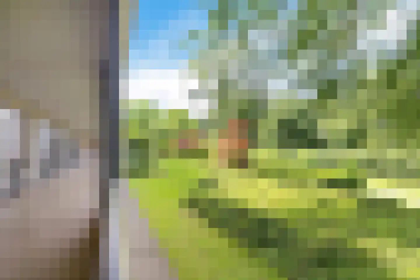 Heunpark 1124 Vught thumbnail 23