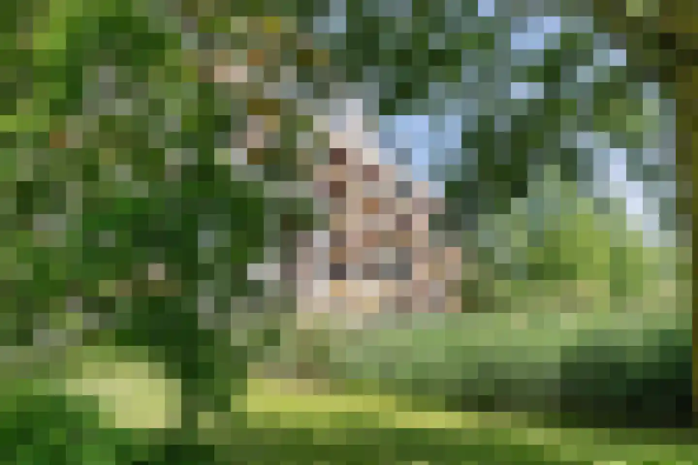 Heunpark 1124 Vught thumbnail 28