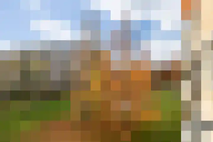 Heunpark 1232 Vught thumbnail 31
