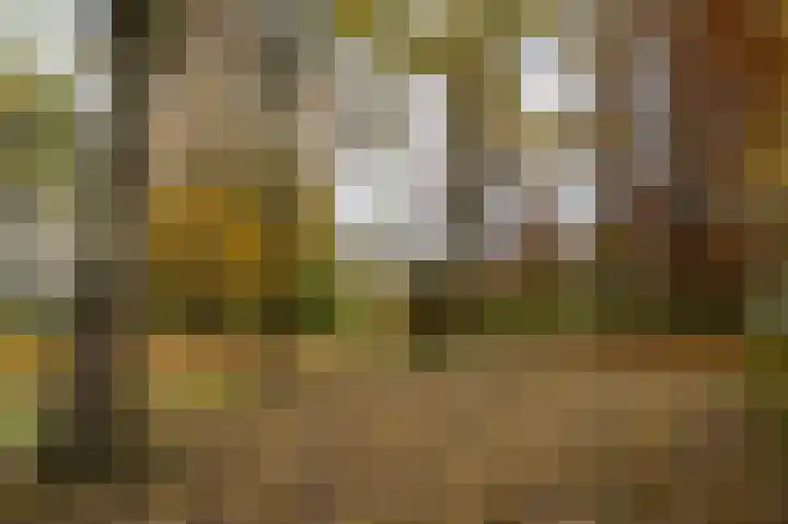 Heunpark 2113 Vught thumbnail 51