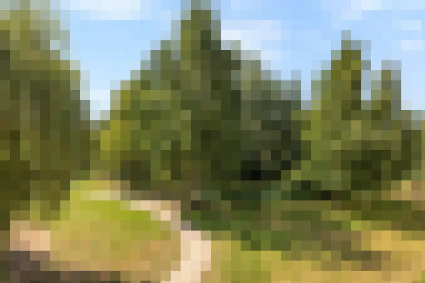 Heunpark 2133 Vught thumbnail 39