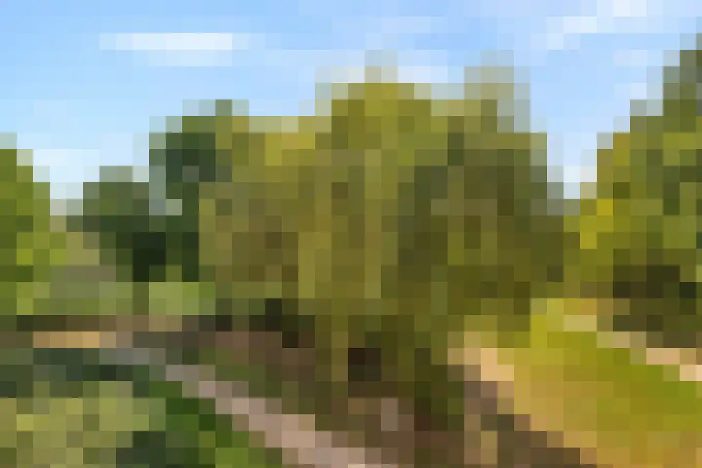 Heunpark 2133 Vught thumbnail 40