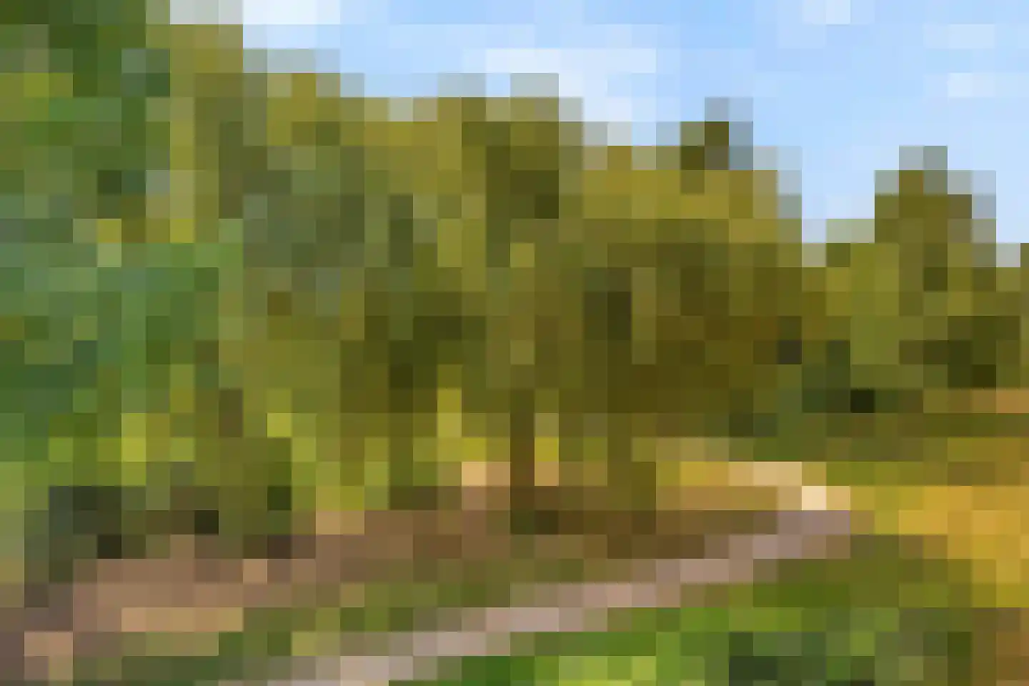 Heunpark 2133 Vught thumbnail 41
