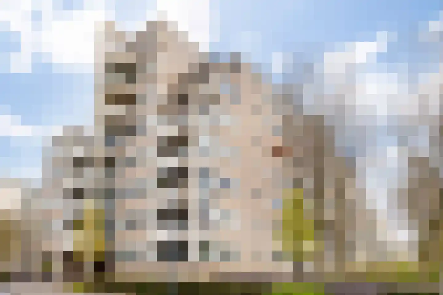 Heunpark 2211 Vught thumbnail 10