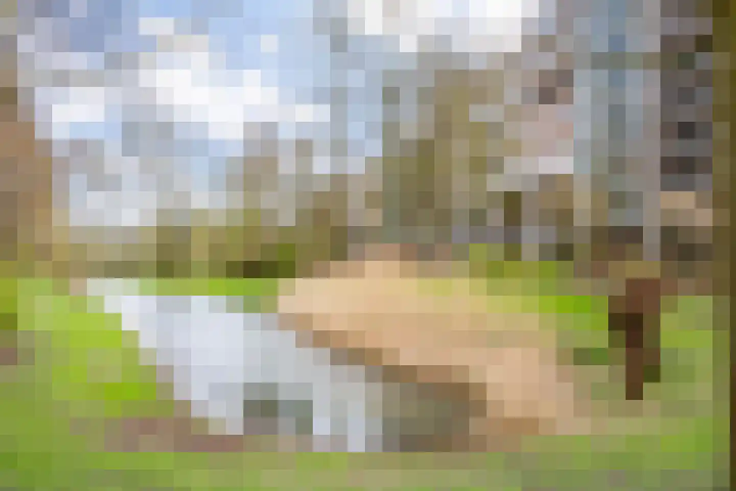 Heunpark 2211 Vught thumbnail 11