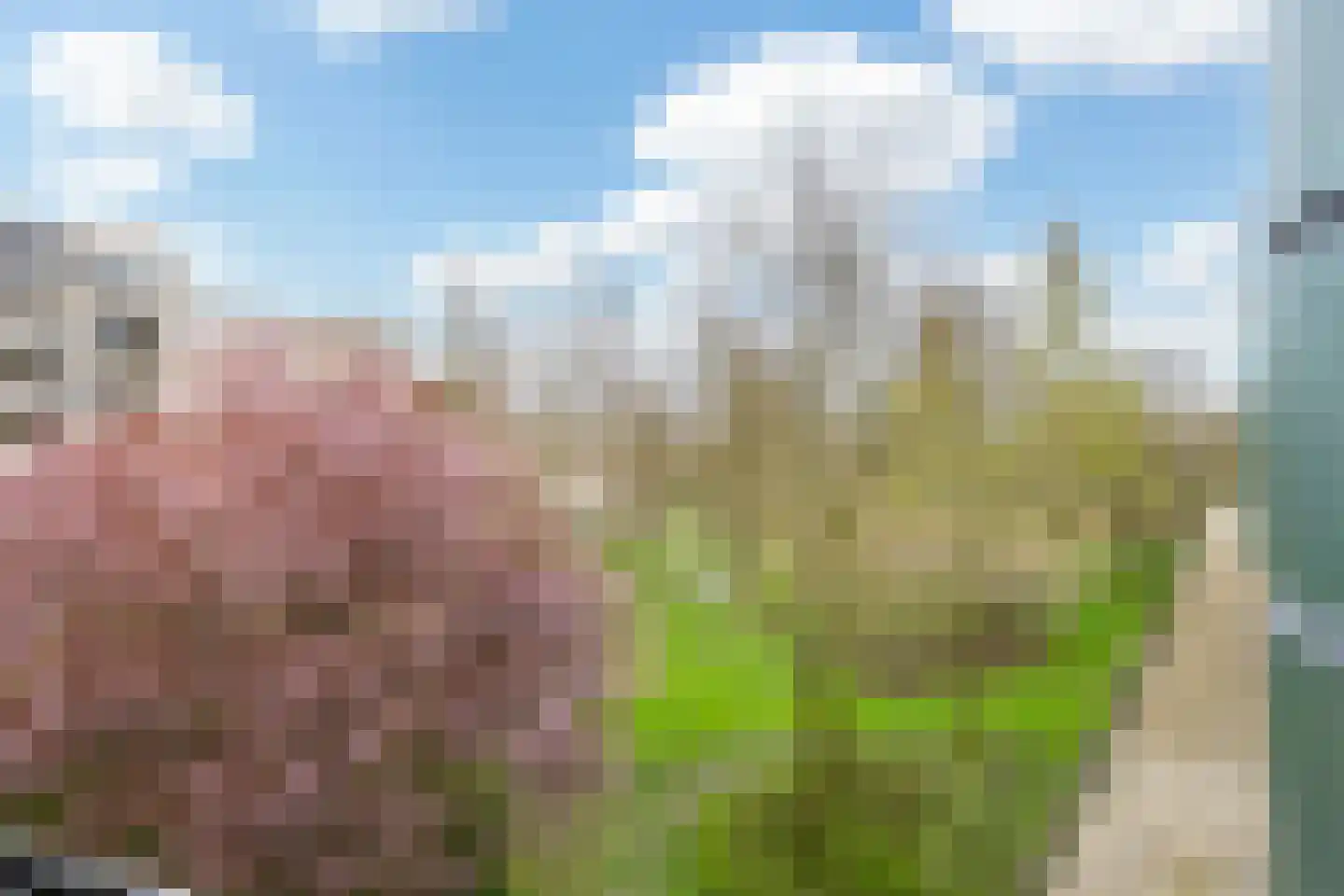 Heunpark 2211 Vught thumbnail 24