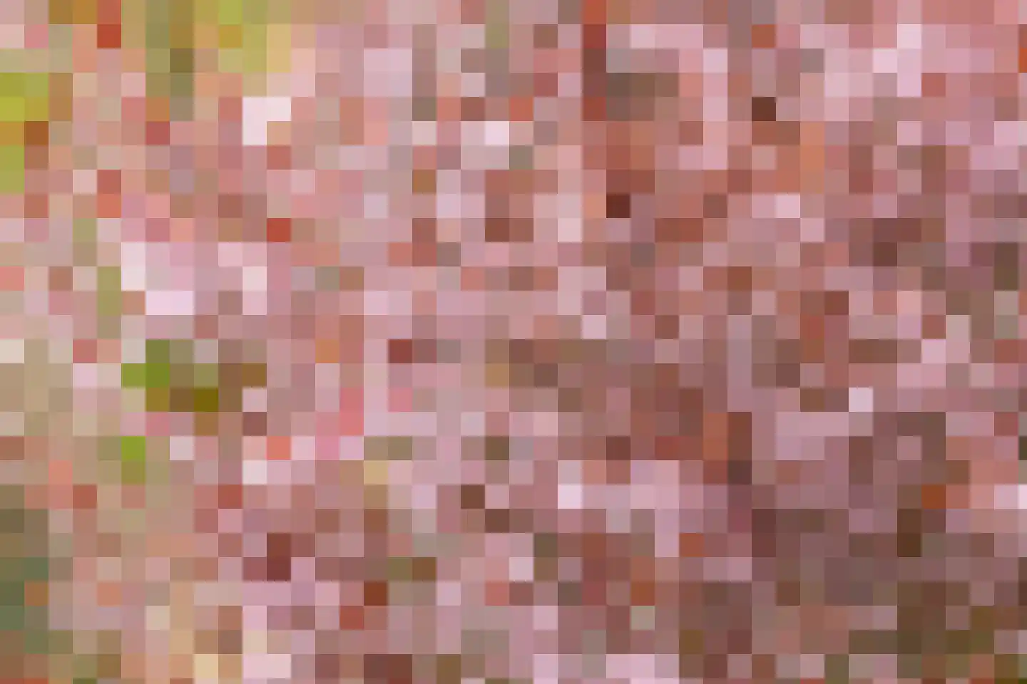 Heunpark 2211 Vught thumbnail 26