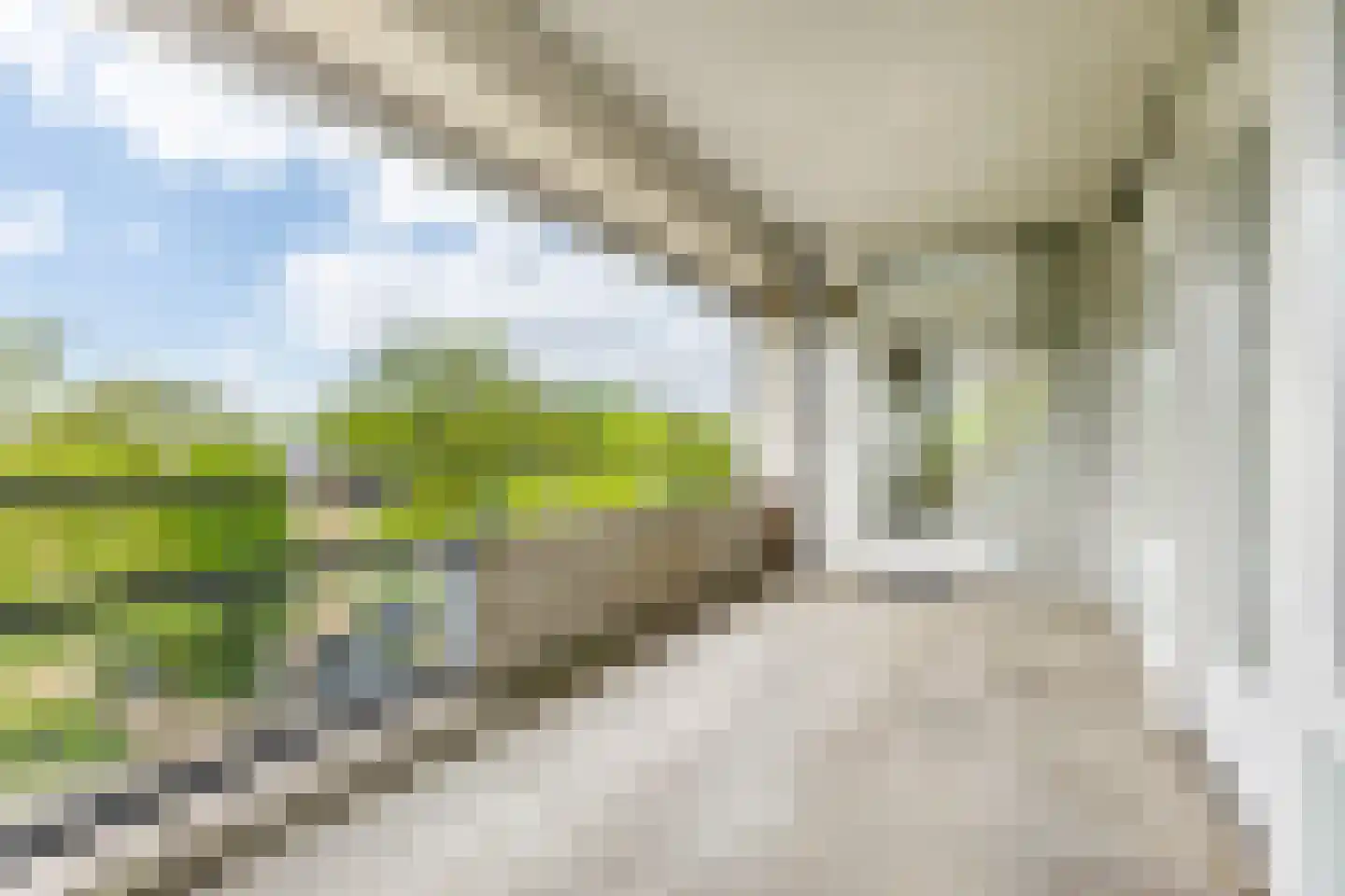 Heunpark 2311 Vught thumbnail 22
