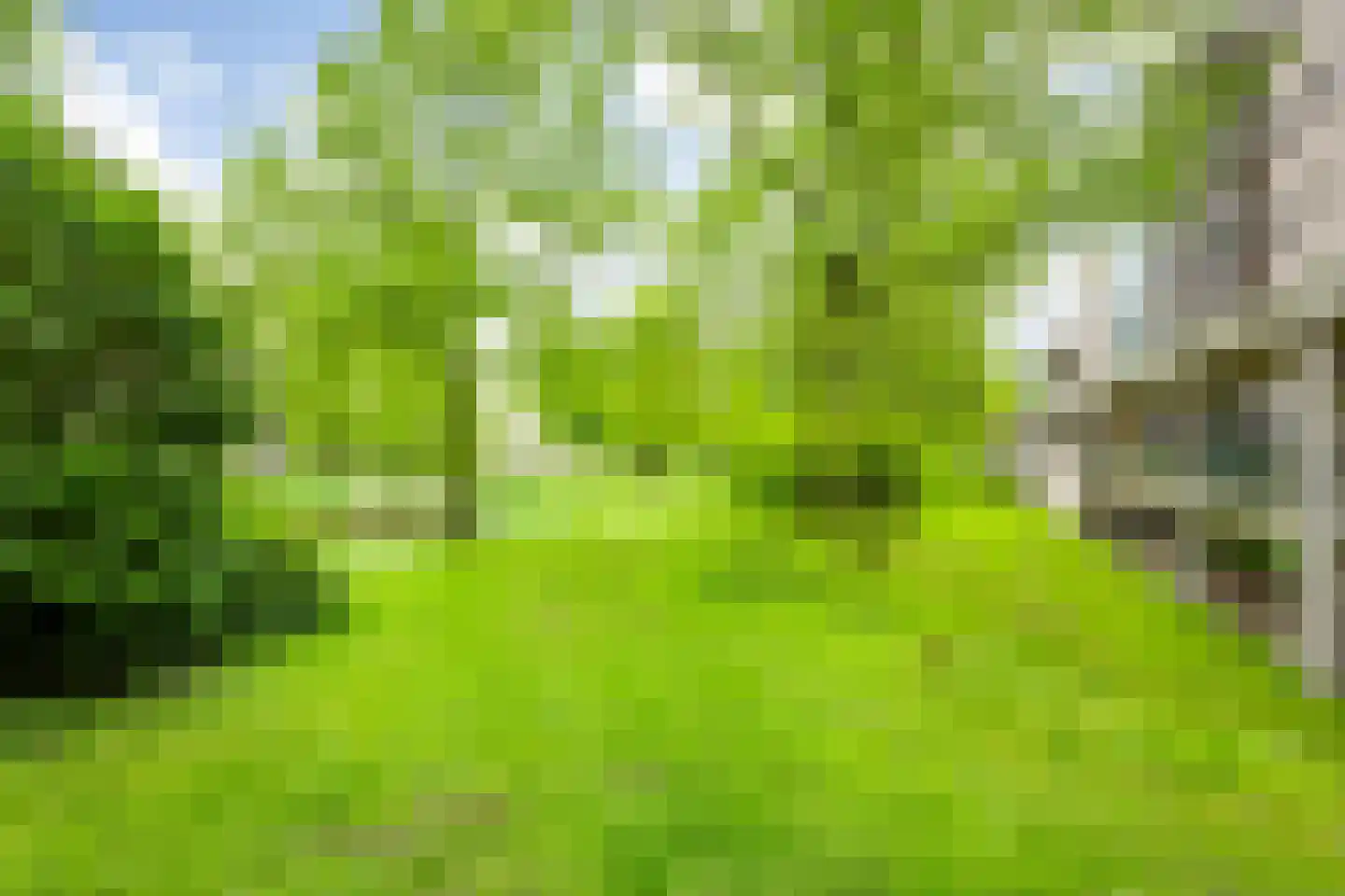 Heunpark 2311 Vught thumbnail 8