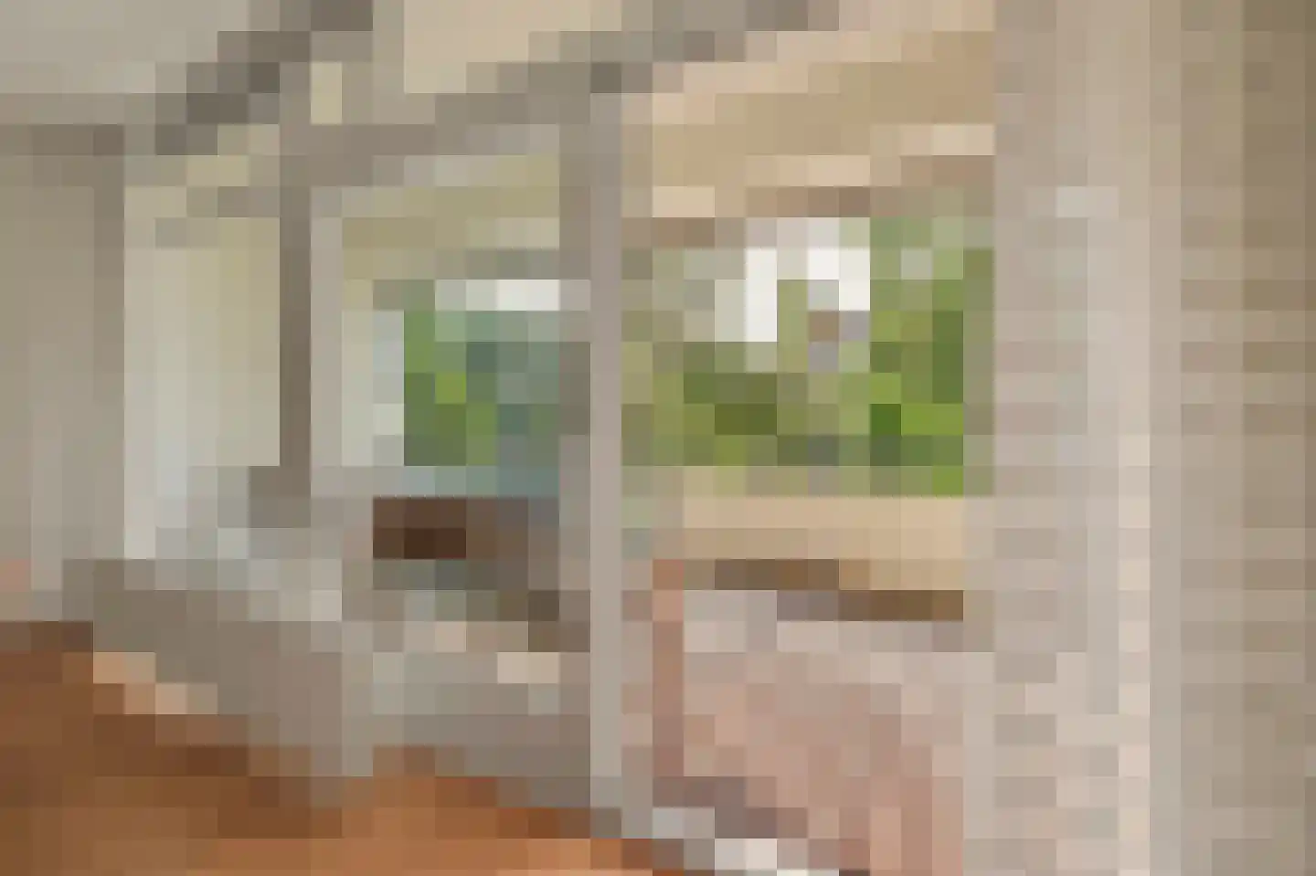 Heunpark 2314 Vught thumbnail 19