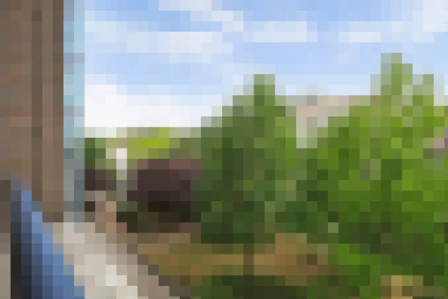 Heunpark 2314 Vught thumbnail 22