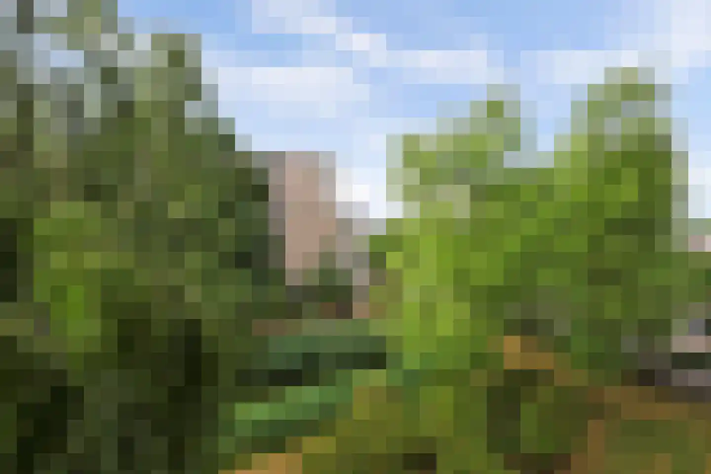 Heunpark 2314 Vught thumbnail 25