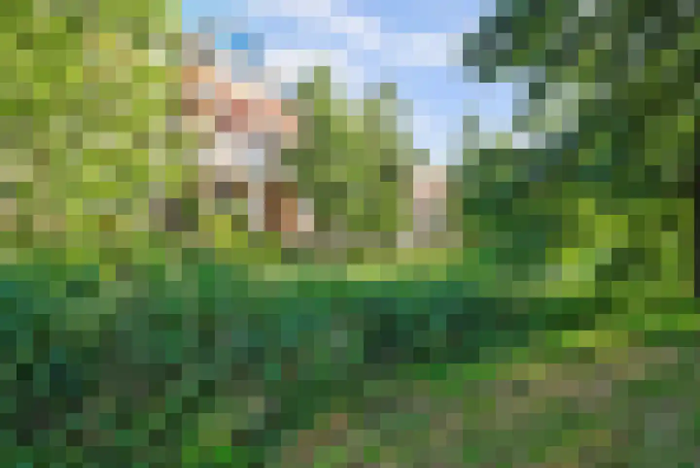 Heunpark 2314 Vught thumbnail 53