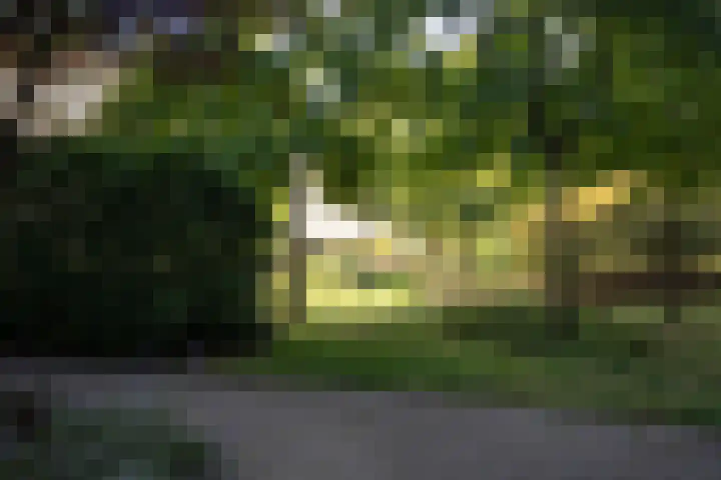 Heunpark 2423 Vught thumbnail 65