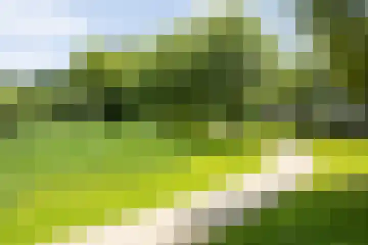 Heunpark 3322 Vught thumbnail 62