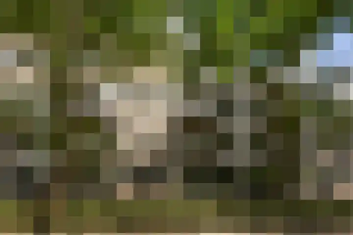 Heunpark 4032 Vught thumbnail 10