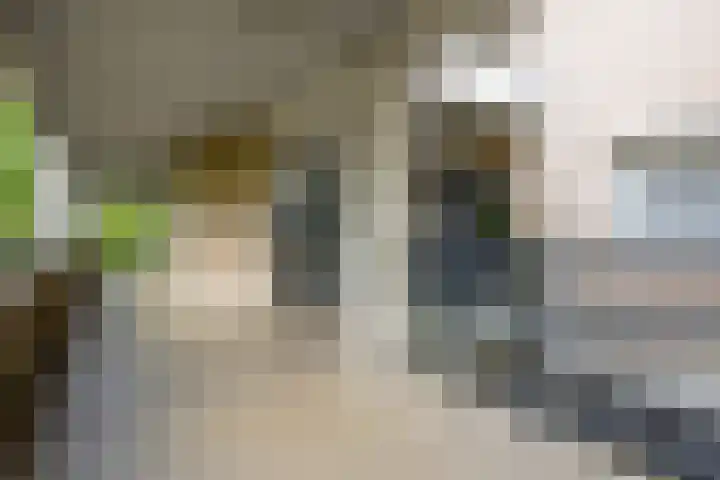 Heunpark 4032 Vught thumbnail 11