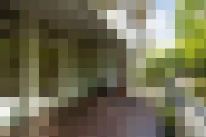 Heunpark 4032 Vught thumbnail 23
