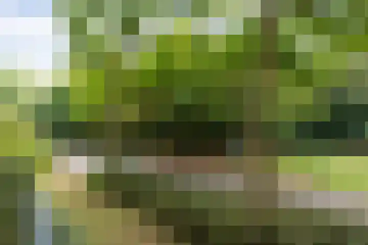 Heunpark 4032 Vught thumbnail 36