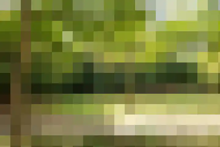Heunpark 4032 Vught thumbnail 37