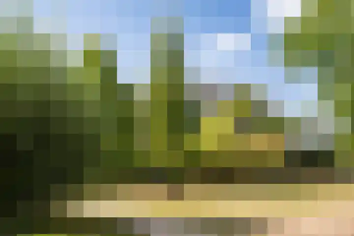 Heunpark 4032 Vught thumbnail 41