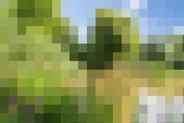 Heunpark 4032 Vught thumbnail 42
