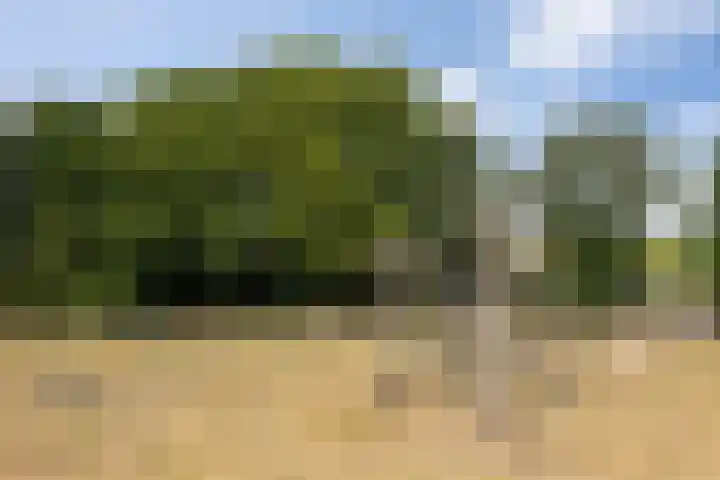 Heunpark 4032 Vught thumbnail 43