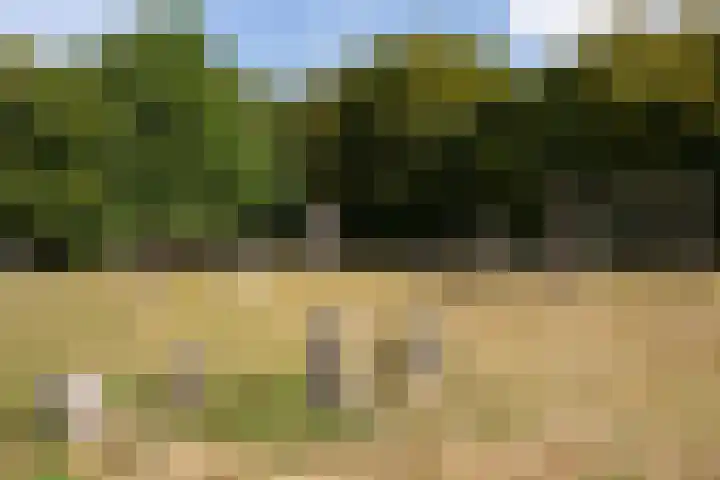 Heunpark 4032 Vught thumbnail 44