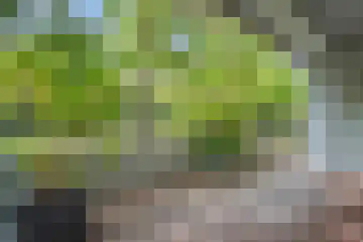 Heunpark 4033 Vught thumbnail 18