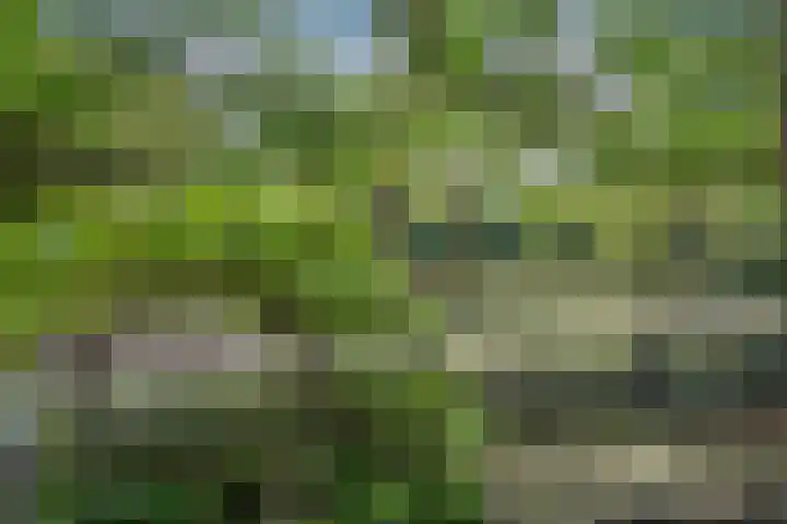 Heunpark 4033 Vught thumbnail 20